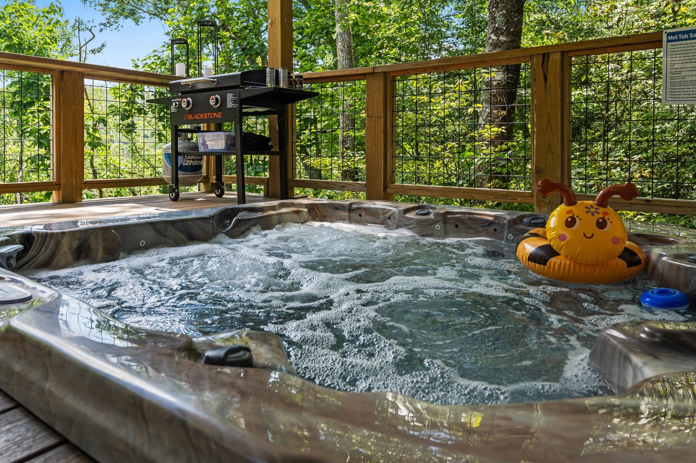 Beech Mountain ski resort